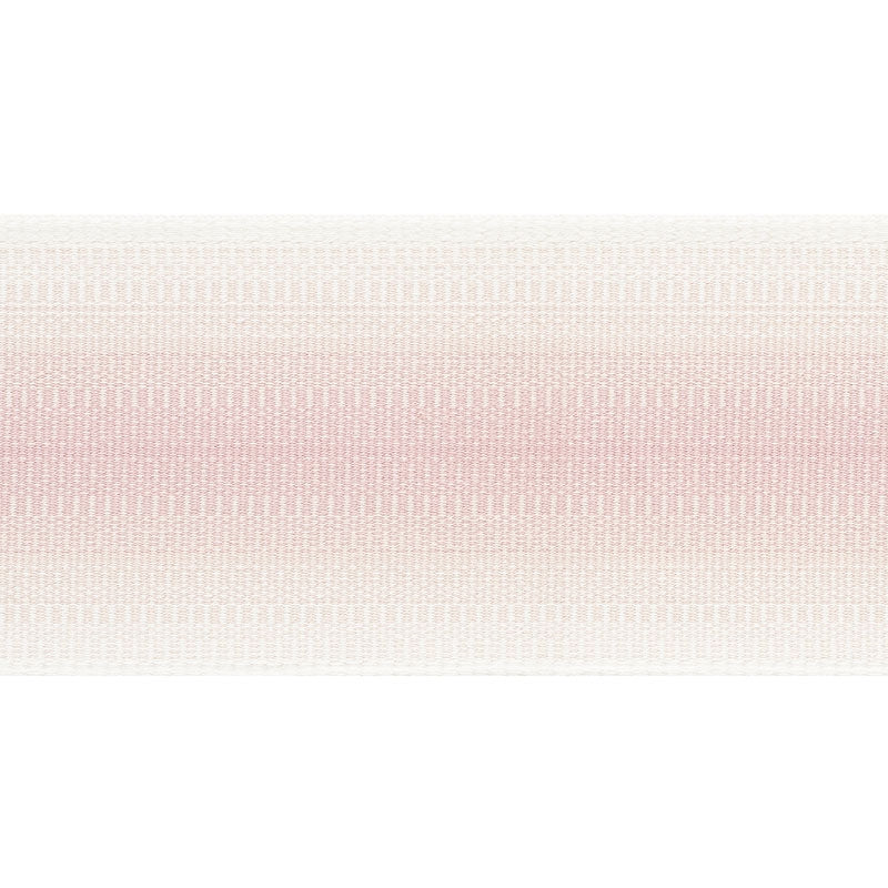 75591 | Belton Tape, Blush - Schumacher Fabric