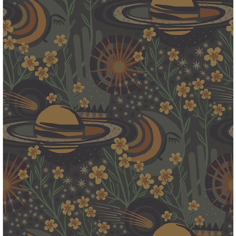 PLS4207 Pip & Lo Smoke Ethereal Cosmos Peel & Stick Wallpaper by NuWallpaper