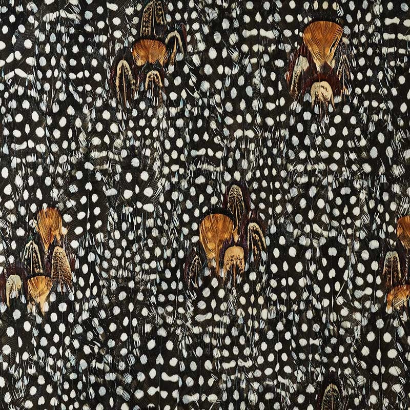 Order 5008394 Argentite Coral Schumacher Wallpaper