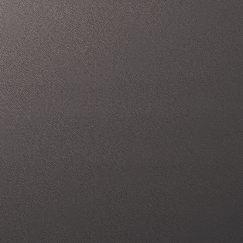 Purchase sample of 80902 Indoor/Outdoor Vegan Leather, Shadow by Schumacher Fabric