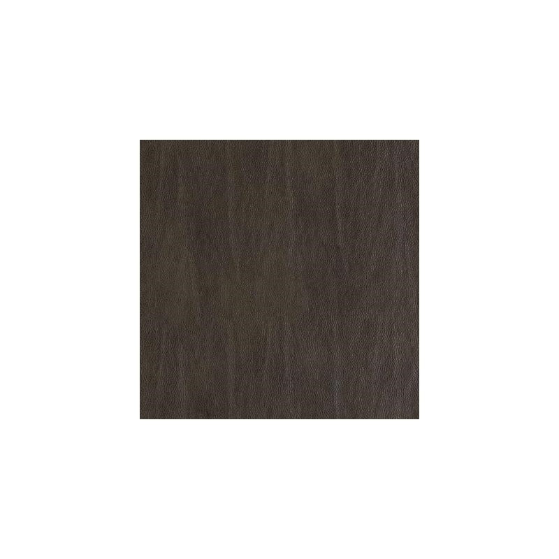 Df15783-104 | Dark Brown - Duralee Fabric