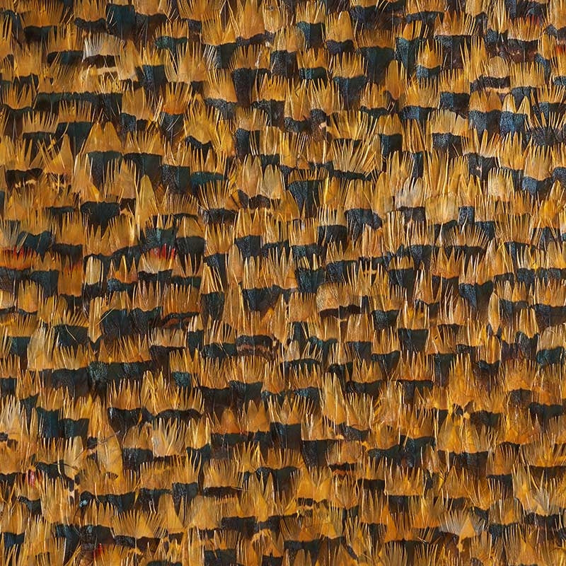 Looking for 5008372 Citrine Lemon Schumacher Wallpaper