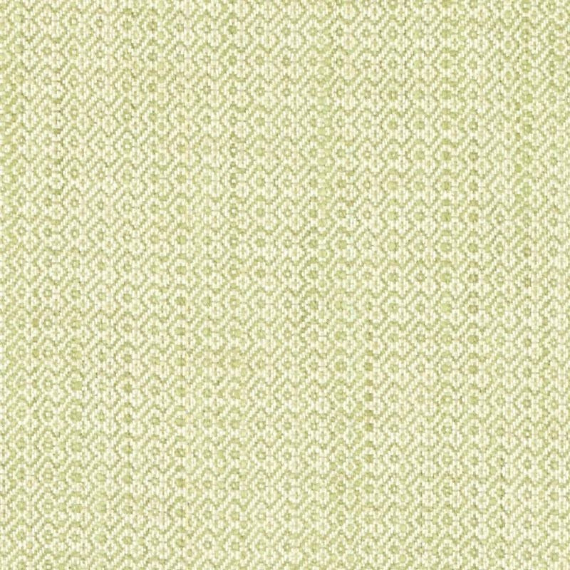 Dw15928-20 | Natural/Green - Duralee Fabric