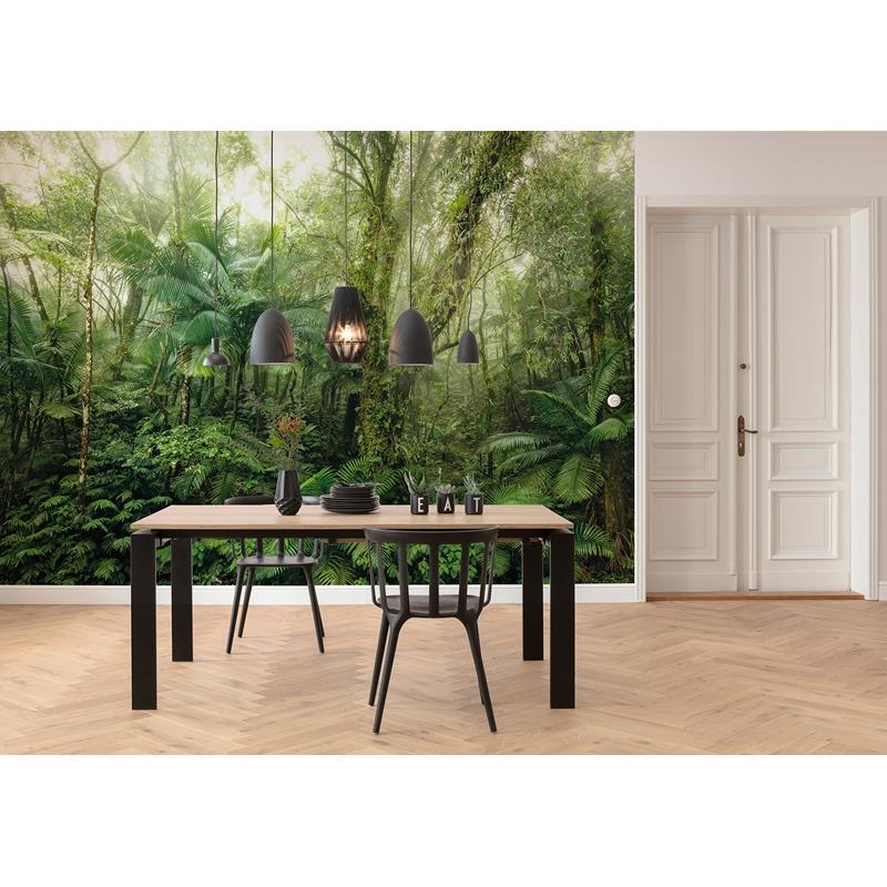 X7-1009 Colours Mindfulness Wall Mural by Brewster,X7-1009 Colours Mindfulness Wall Mural by Brewster2