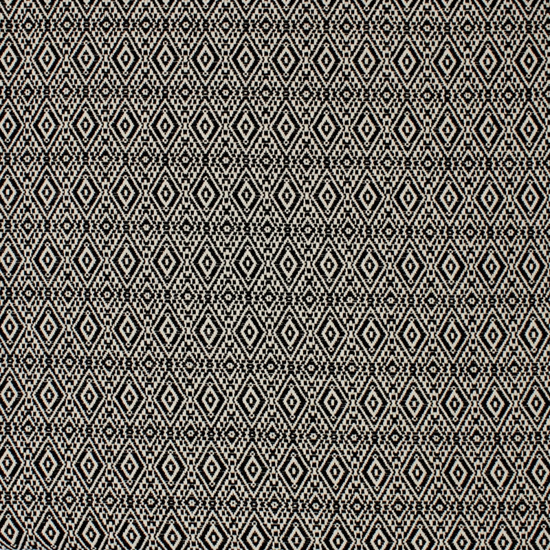 Find S4244 Noir Black Diamond Greenhouse Fabric
