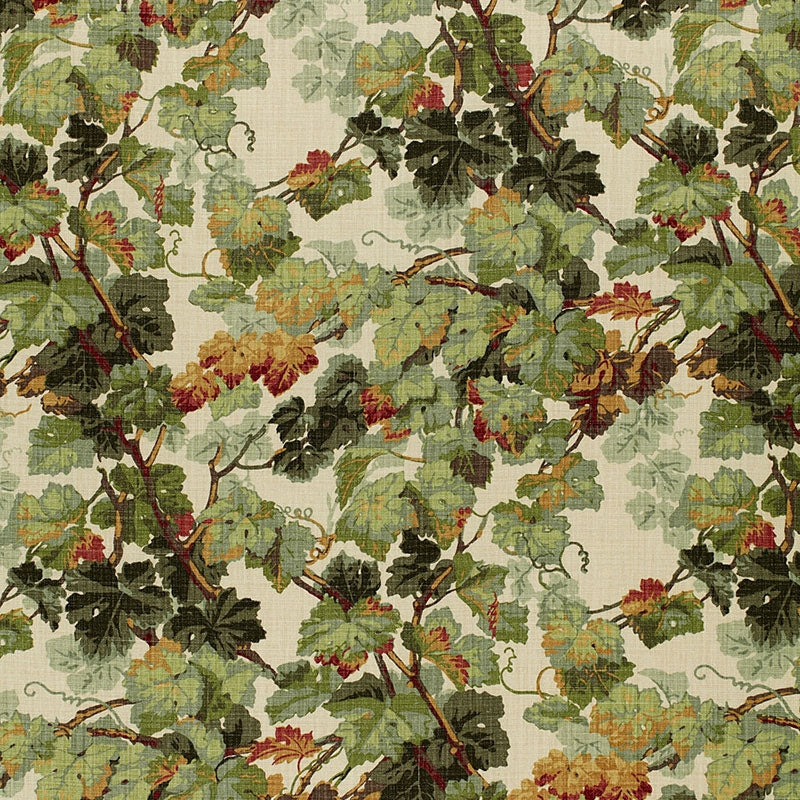 Purchase sample of 1212012 Arbor Vine, Document by Schumacher Fabric