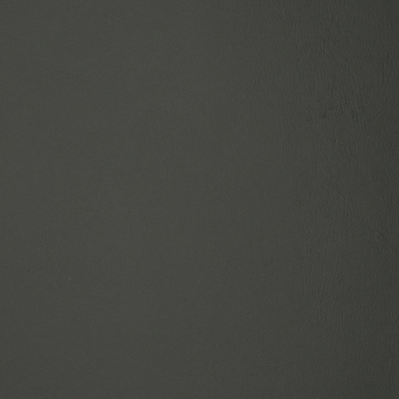 Acquire F1879 Slate Gray Texture Greenhouse Fabric