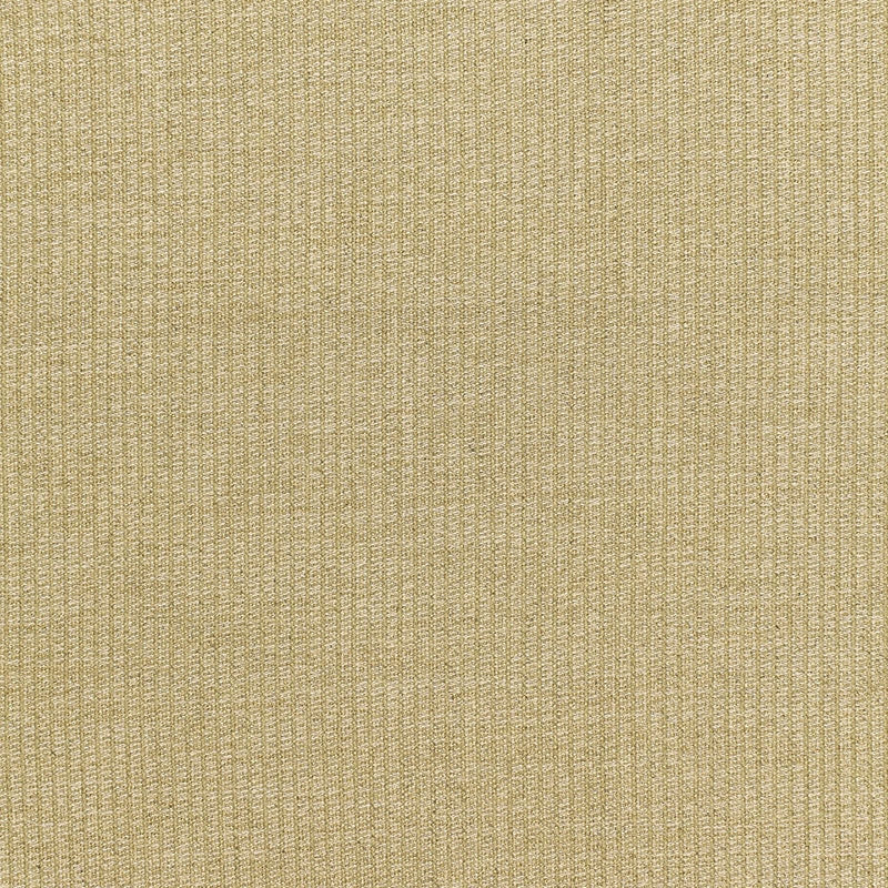 Purchase sample of 68850 Gold Dust, Gilt by Schumacher Fabric