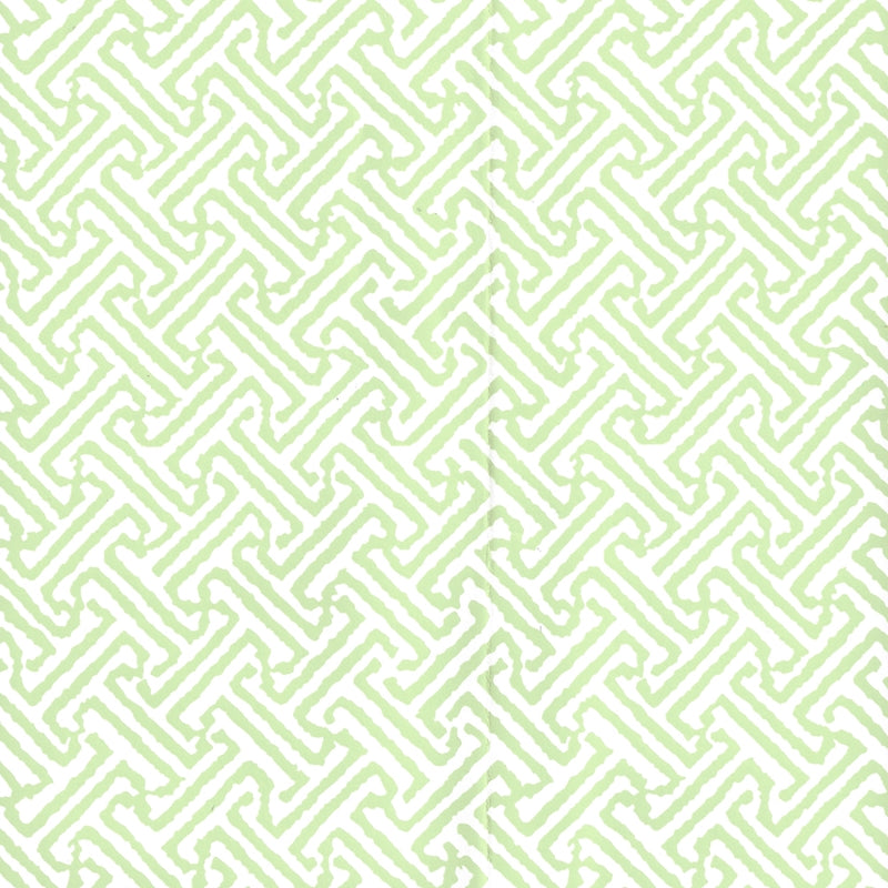 Acquire 622-27 Java Petite Lime on White by Quadrille Wallpaper