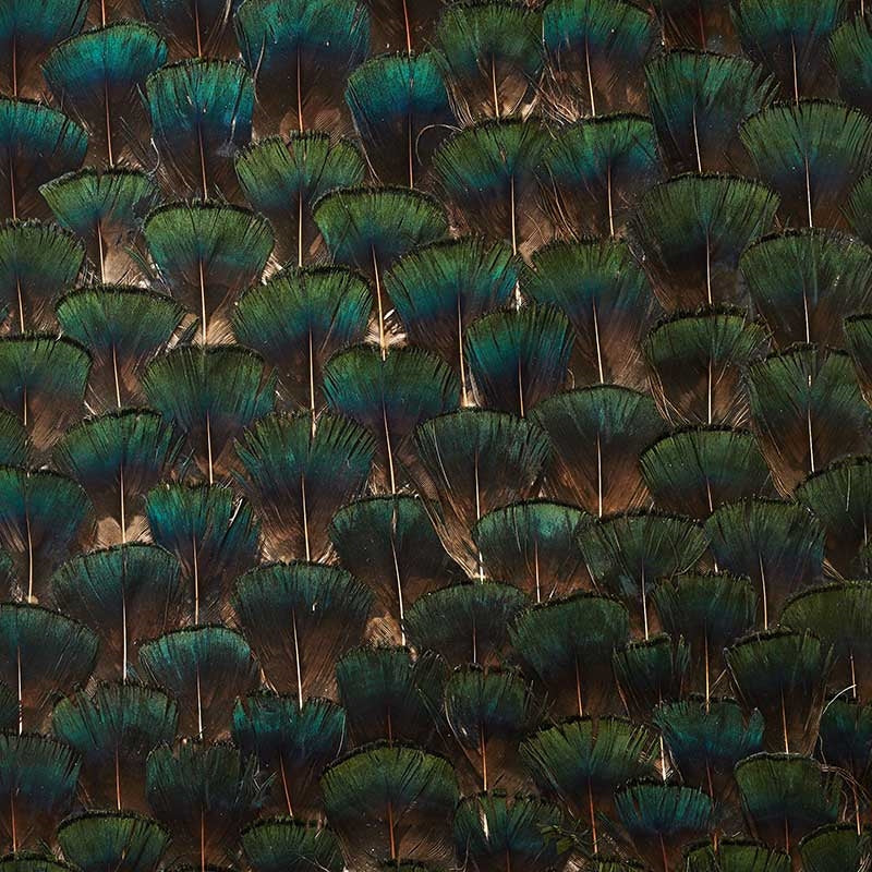 Search 5008397 Edenite Moss Green Schumacher Wallpaper