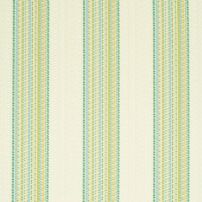 Purchase sample of 79150 Bendita Stripe Indoor/Outdoor, Leaf by Schumacher Fabric