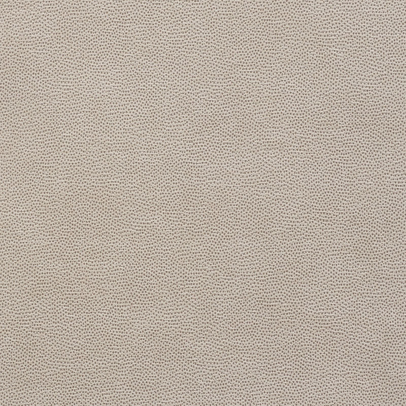 Purchase sample of 75202 Stingray, Zinc by Schumacher Fabric