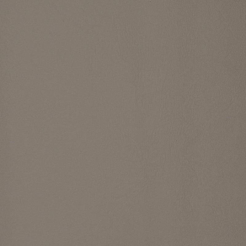 Save F1876 Seagull Gray Texture Greenhouse Fabric