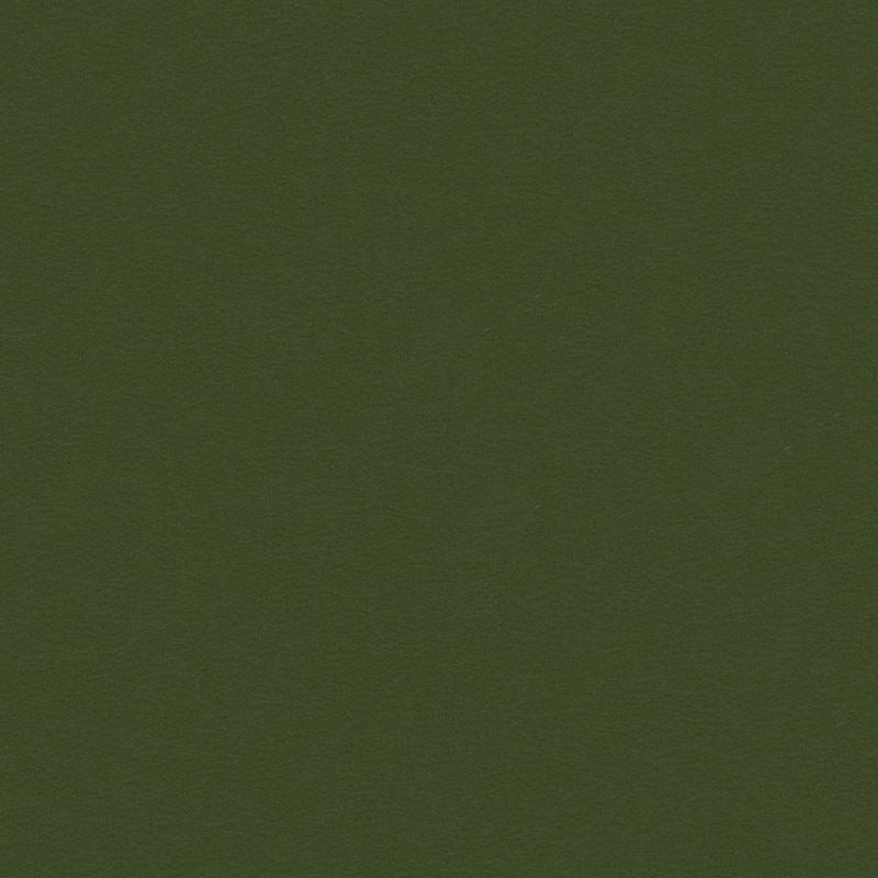 Sample BERTA.303.0 Green Upholstery Solids Plain Cloth Fabric by Krave