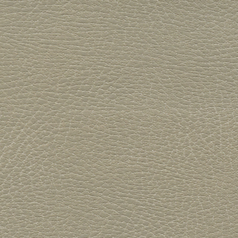Purchase sample of 335-3869 Brisa Distressed, Dune by Schumacher Fabric