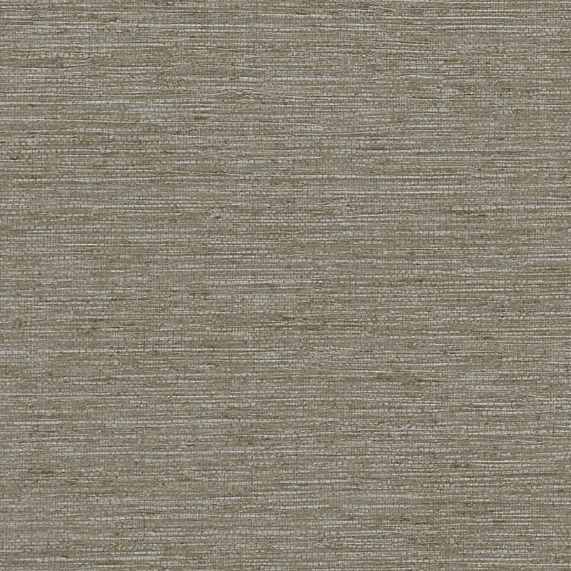 Purchase 8802 Vinyl Extra Fine Arrowroot Owl Phillip Jeffries Wallpaper