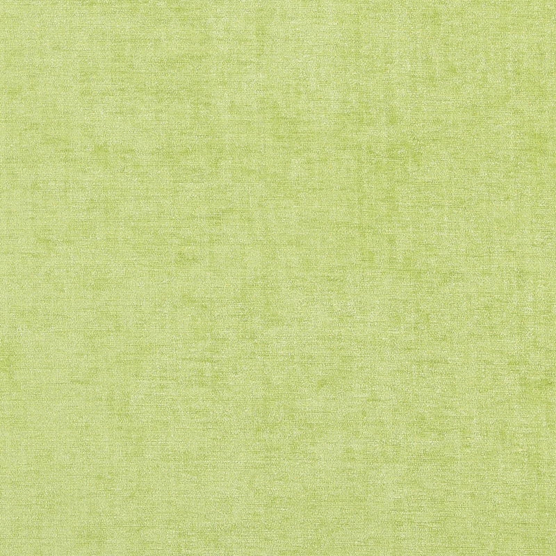 WARRIOR 73J7081 - JF Fabric