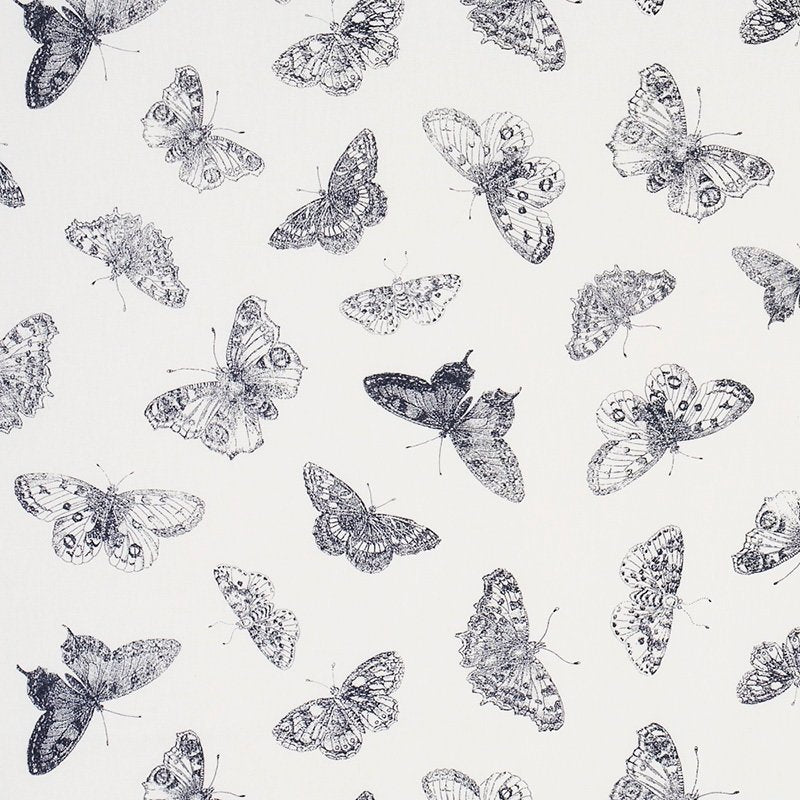 Purchase sample of 179430 Burnell Butterfly, Black by Schumacher Fabric