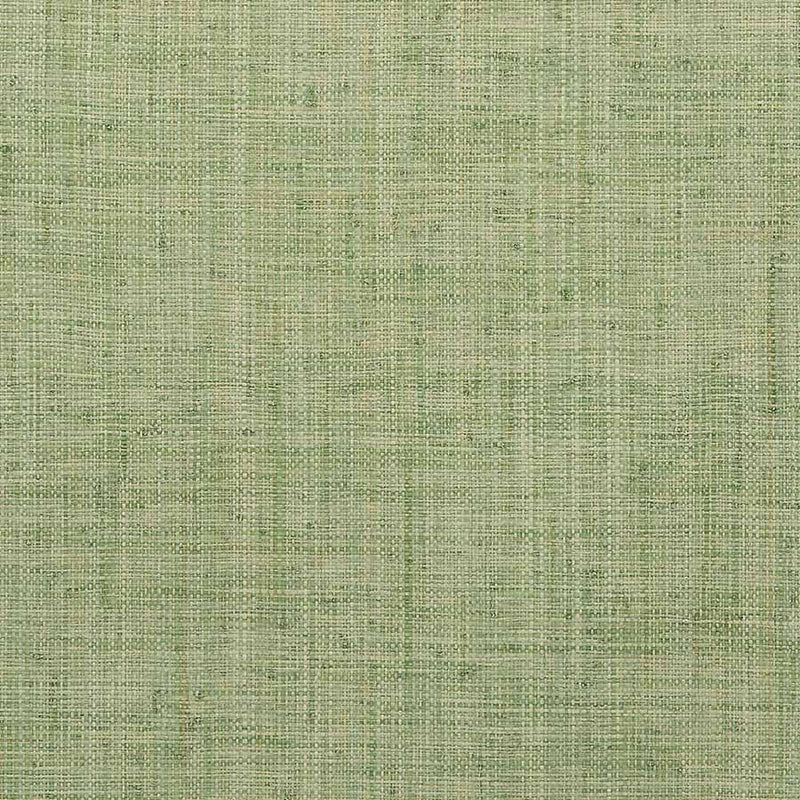 Purchase 1155 Island Raffia Congo Line Lime Phillip Jeffries Wallpaper