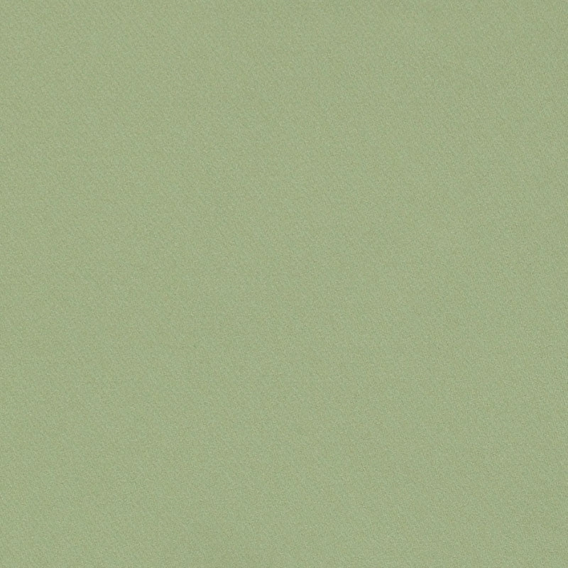 Purchase sample of 69591 Blake, Moss by Schumacher Fabric