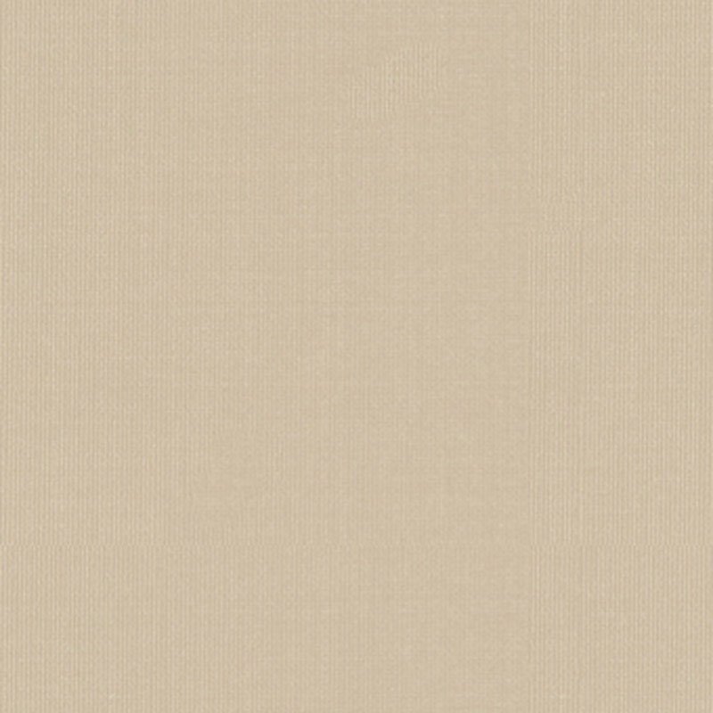 Purchase sample of 22611 Sargent Silk Taffeta, Alabaster by Schumacher Fabric