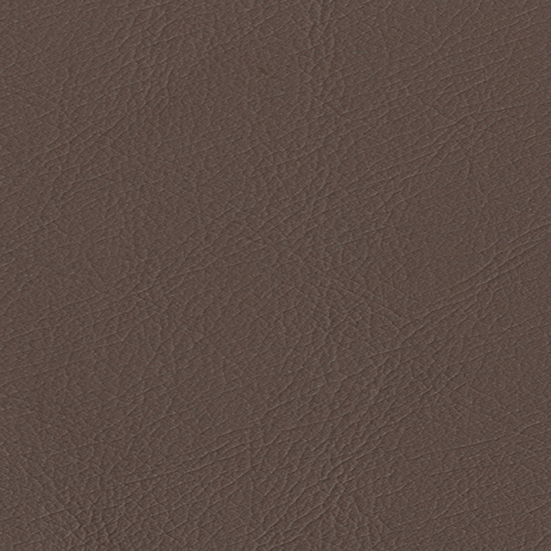 Purchase sample of 291-3666 Ultraleather, Fudge by Schumacher Fabric