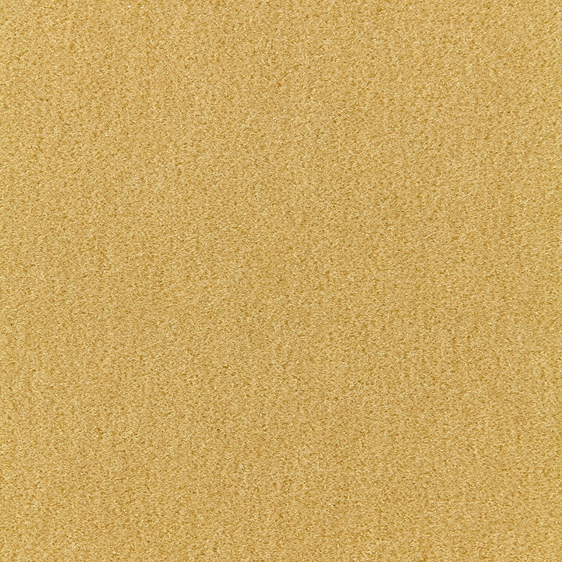 Purchase sample of 64939 Palermo Mohair Velvet, Absinthe by Schumacher Fabric