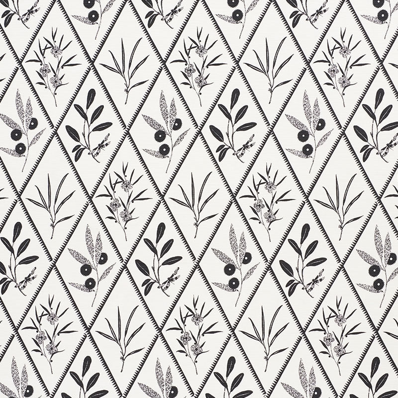 Purchase sample of 177643 Endimione, Carbon by Schumacher Fabric