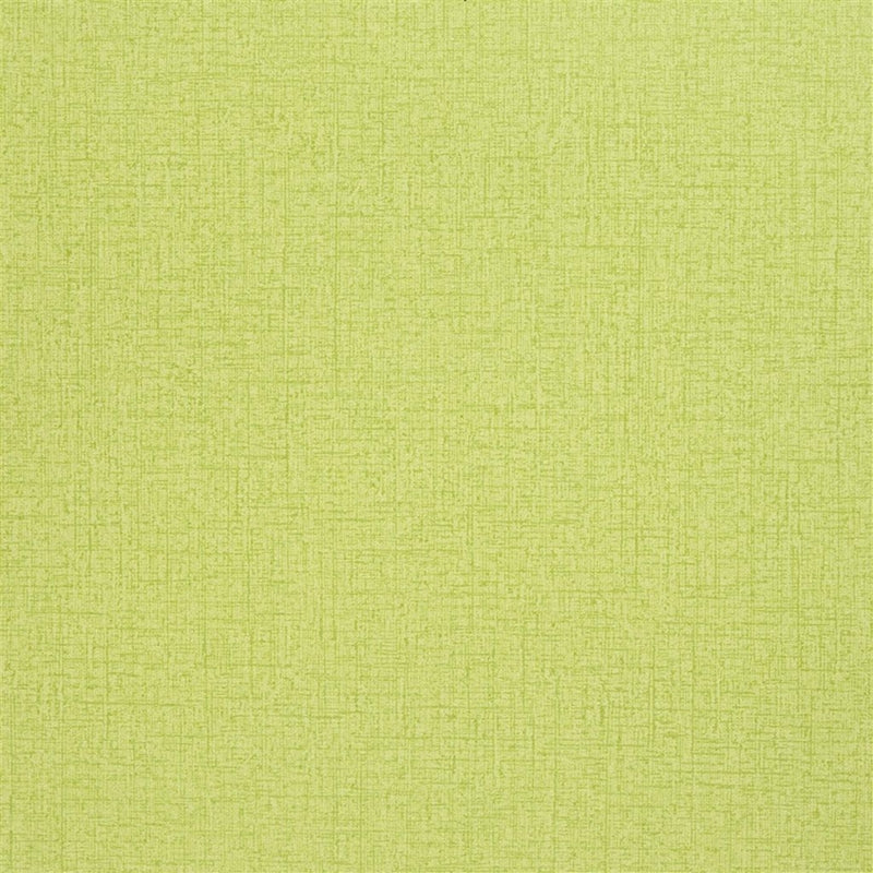 Looking P515/19 Tsuga Acacia by Designer Guild Wallpaper