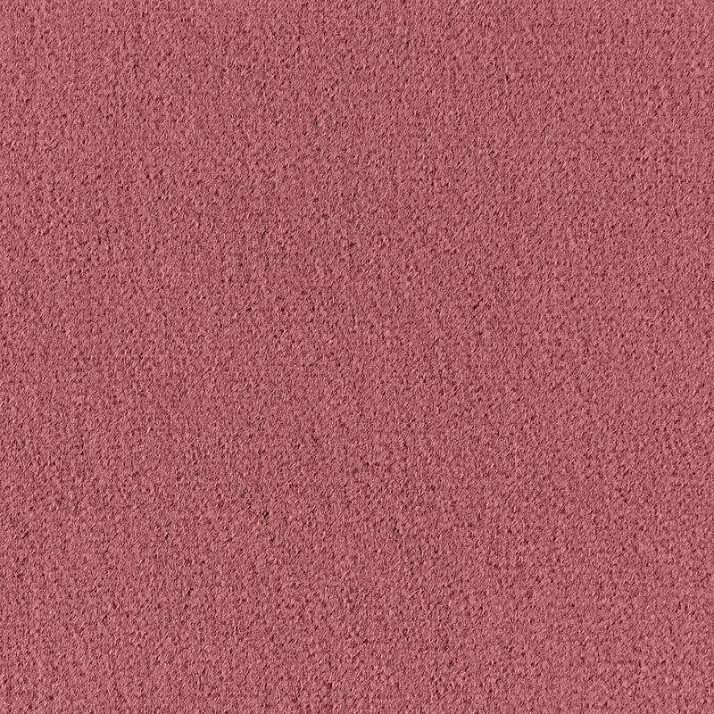 Purchase sample of 64901 Palermo Mohair Velvet, French Violet by Schumacher Fabric