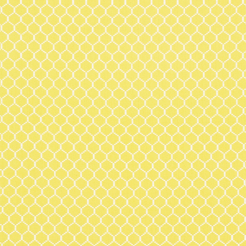 Purchase sample of 73091 Fishnet, Yellow by Schumacher Fabric