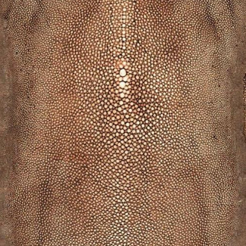 Find WH000013326 Precieux Cuivre by Jean Paul Gaultier Wallpaper