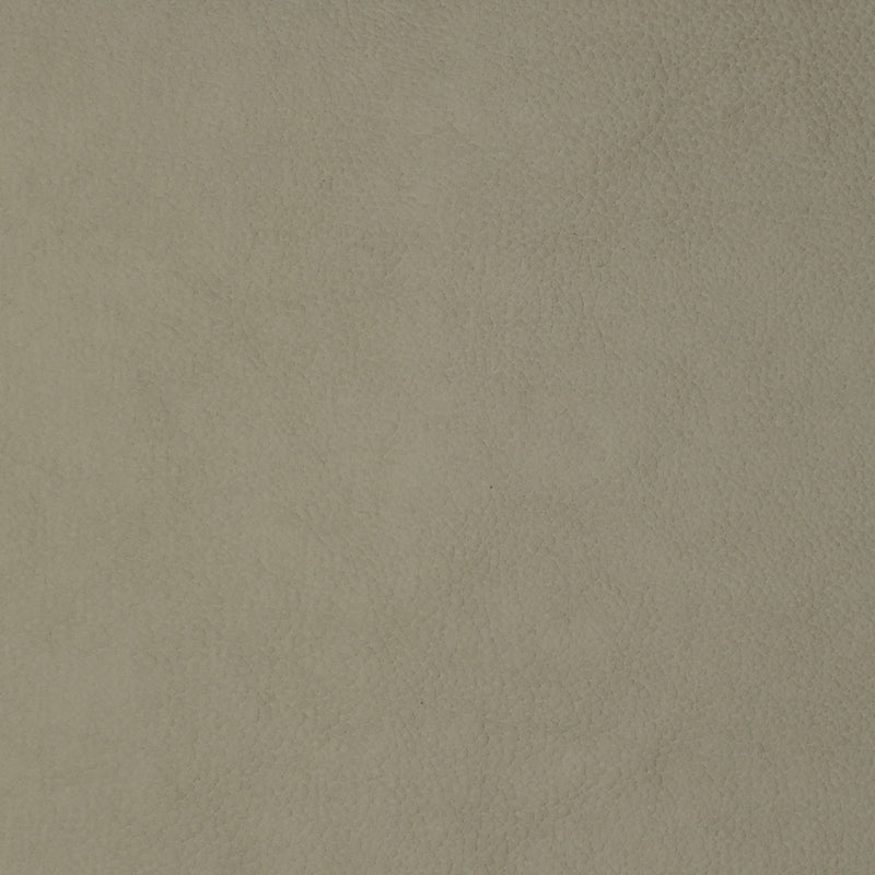 View F1856 Bone Neutral Texture Greenhouse Fabric