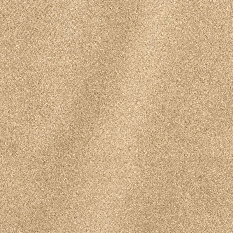 Purchase sample of 64897 San Carlo Mohair Velvet, Oyster by Schumacher Fabric