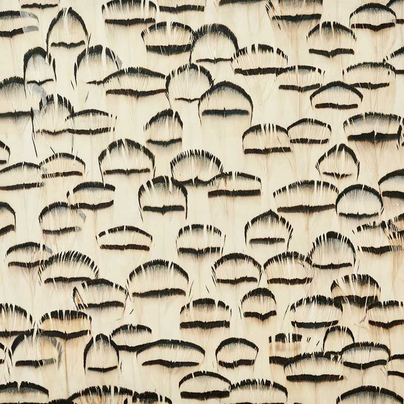 Search 5008407 Opal White Schumacher Wallpaper