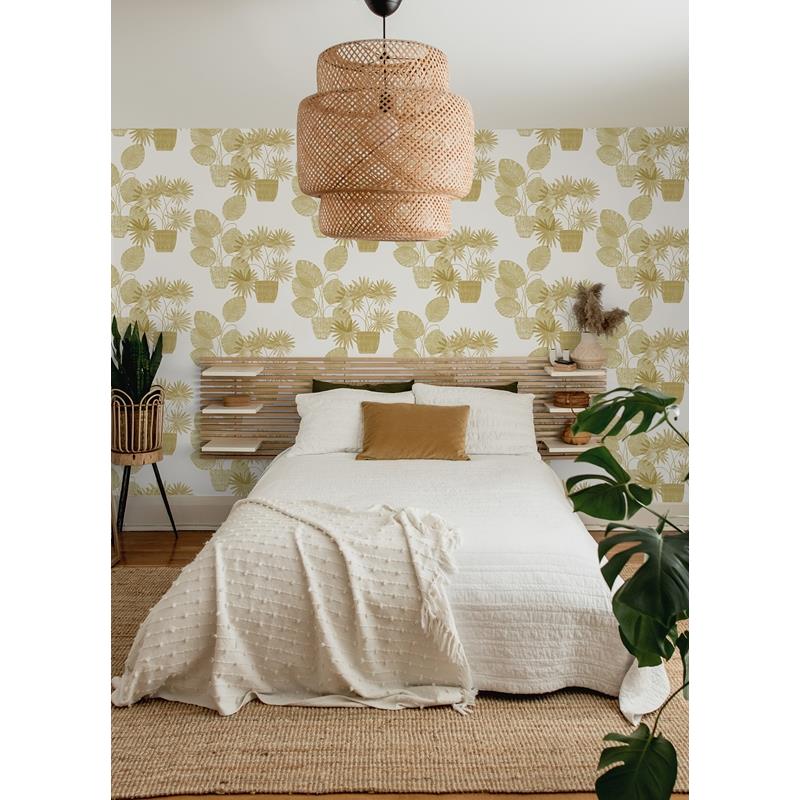Search 4014-87557 Seychelles Aida Gold Potted Plant Wallpaper Gold A-Street Prints Wallpaper
