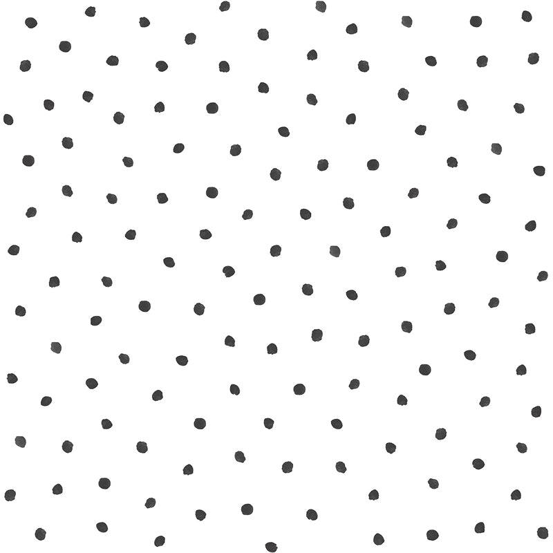 Acquire 4060-138934 Fable Pixie Black Dots Wallpaper Black by Chesapeake Wallpaper