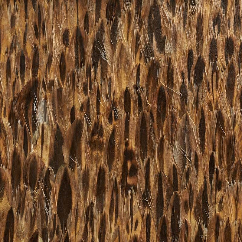 Shop 5008377 Amber Coco Schumacher Wallpaper