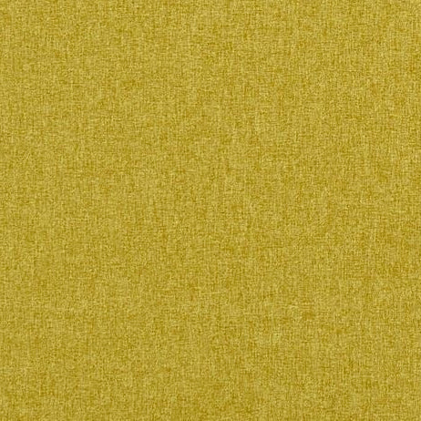 Find F0848-24 Highlander Palm Solid by Clarke And Clarke Fabric