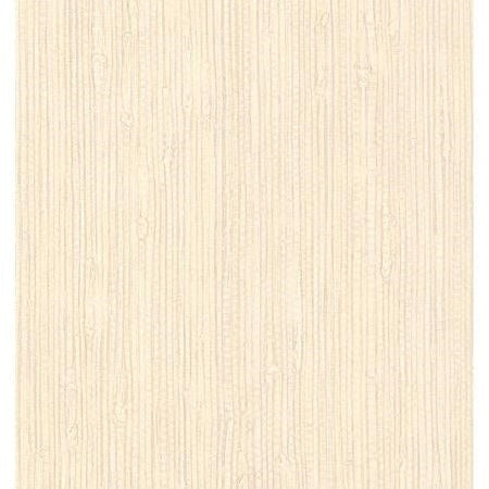 Order AM49442 Atmosphere Beige Texture by Washington Wallpaper