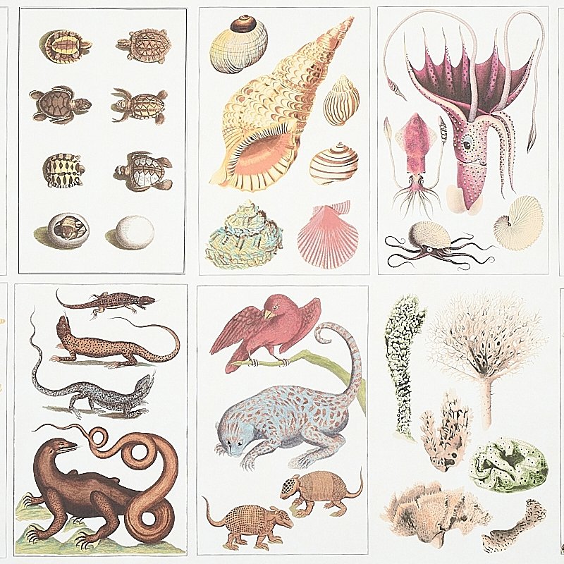 Acquire 5012090 Bauhin Document Multi Schumacher Wallcovering Wallpaper