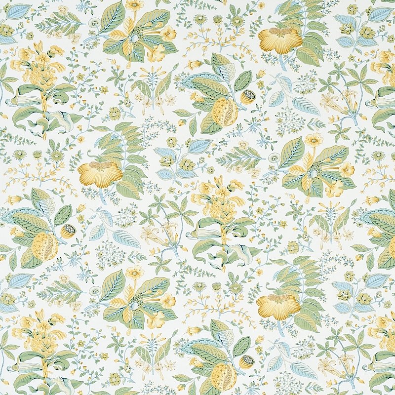 Purchase sample of 178123 Pomegranate Botanical, Citron by Schumacher Fabric