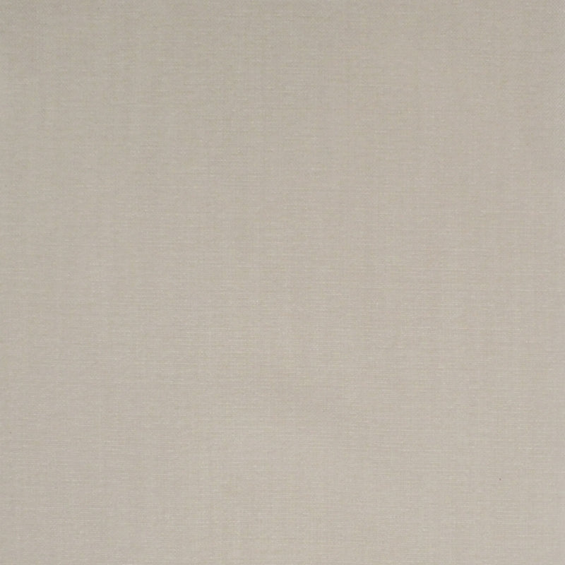 Find S4961 Winter White Neutral Greenhouse Fabric