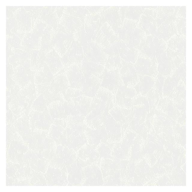 Purchase 4000-2516-19 PaintWorks Gustave White Plaster Paintable White Brewster Wallpaper