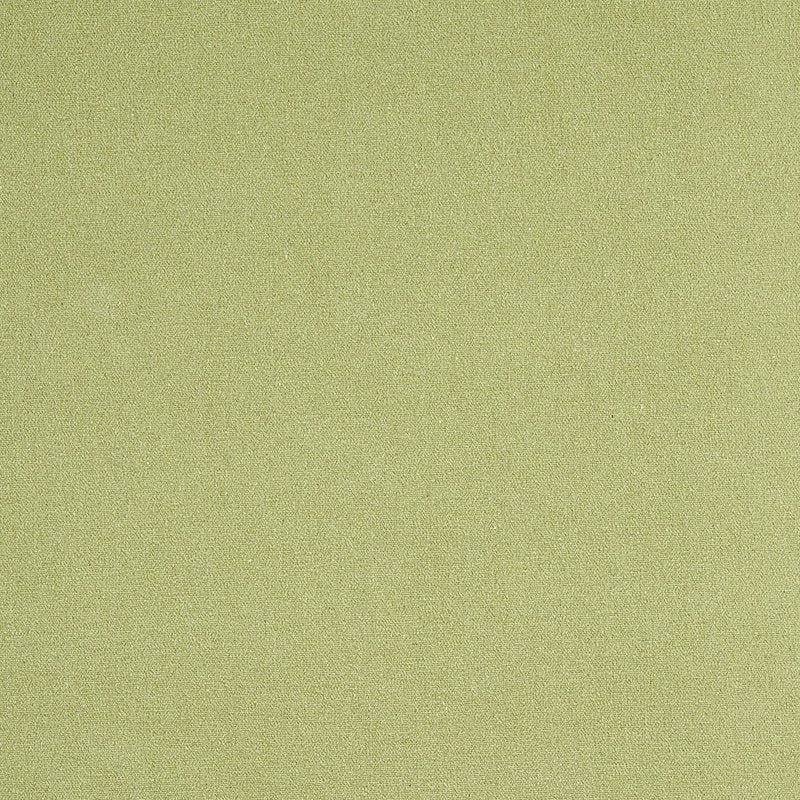 Purchase sample of 77810 Albert Performance Cotton, Green by Schumacher Fabric