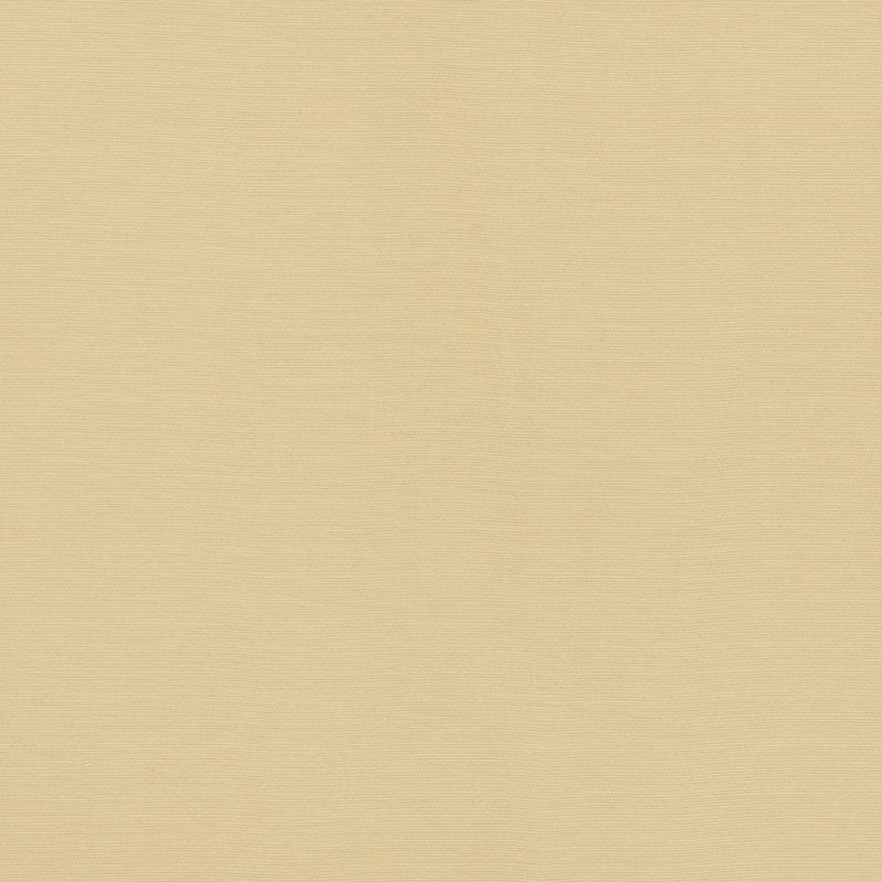 Purchase sample of 70941 Lampedusa, Ecru by Schumacher Fabric