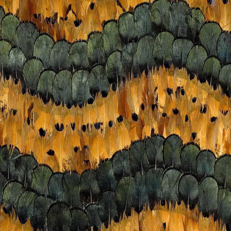 Purchase 5003990 Golden Hill Citrine Schumacher Wallpaper