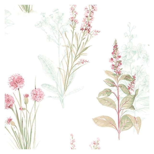 Shop AB42442 Abby Rose 3 Pink Floral Wallpaper by Norwall Wallpaper