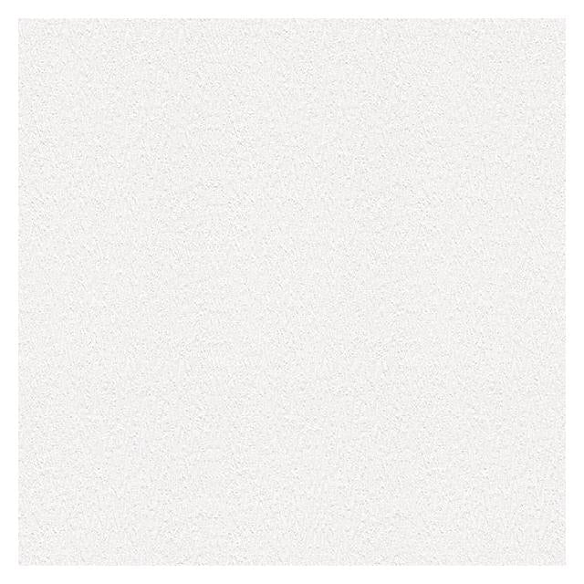 Buy 4000-1048-16 PaintWorks Kiefer White Bark Paintable White Brewster Wallpaper