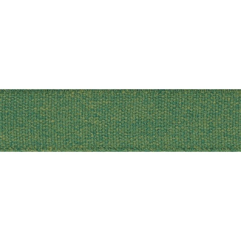 72414 | Ashwood Tape, Green - Schumacher Fabric